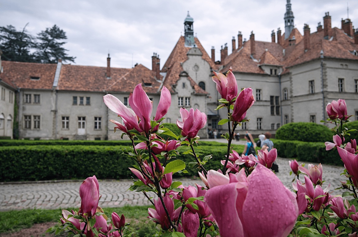 Картинка магнолии в замке шенборна